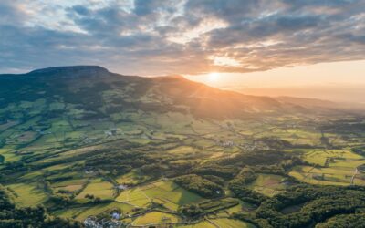 Tableau calcul TVA sur encaissement à télécharger en .xlsx gratuit avec formules intégrées et guide pas à pas pour une utilisation immédiate